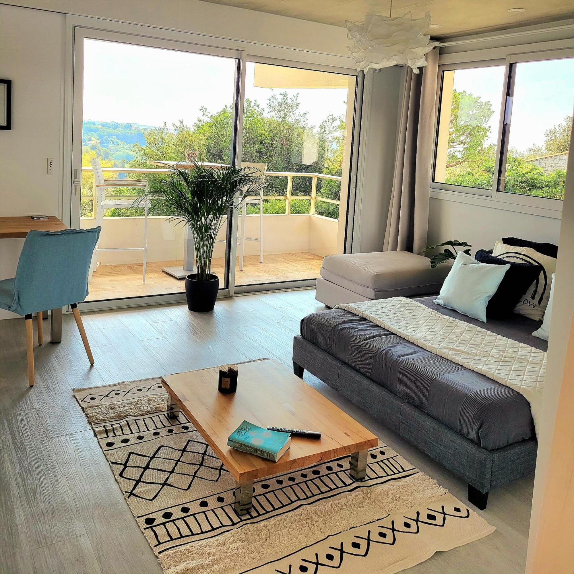 Studio Climatise, Vue Imprenable-Wifi Ванс Экстерьер фото
